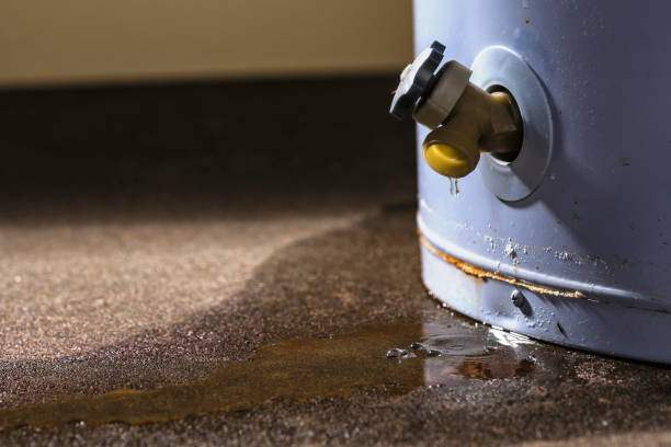 Best Flooded house restoration  in Pquemine, LA
