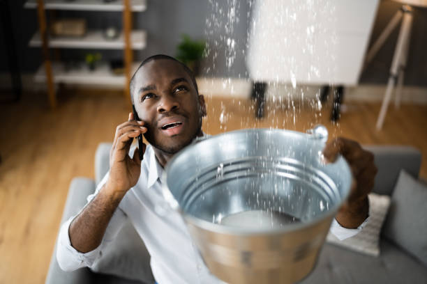 Best Water damage restoration near me  in Pquemine, LA