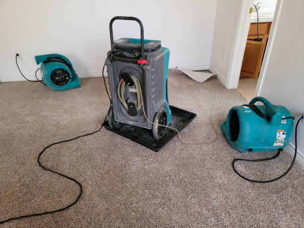 , LA Water damage restoration Company