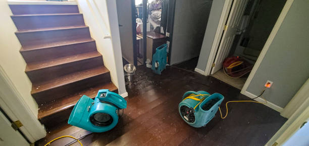 Best Basement water damage restoration  in Pquemine, LA