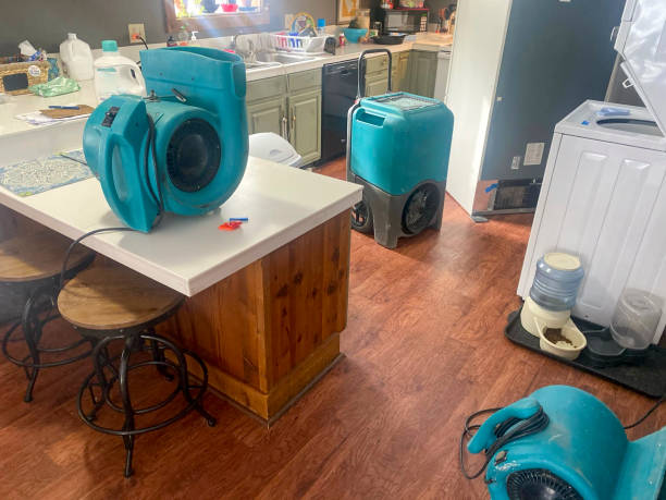Best Sewage cleanup and water damage restoration  in Pquemine, LA