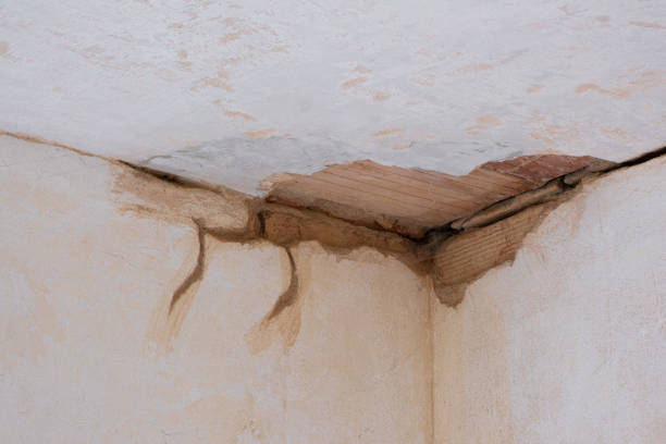 Best 24/7 water damage repair  in Pquemine, LA