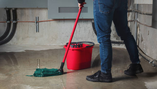  Pquemine, LA Water damage restoration Pros