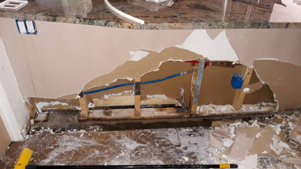 Best Flooded house restoration  in Pquemine, LA