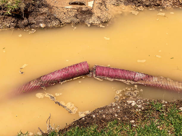 Best Water damage restoration services  in Pquemine, LA